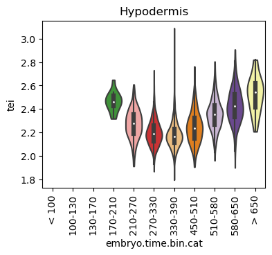 ../_images/notebooks_nematode_example_59_12.png