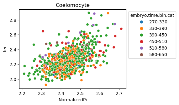 ../_images/notebooks_nematode_example_65_7.png