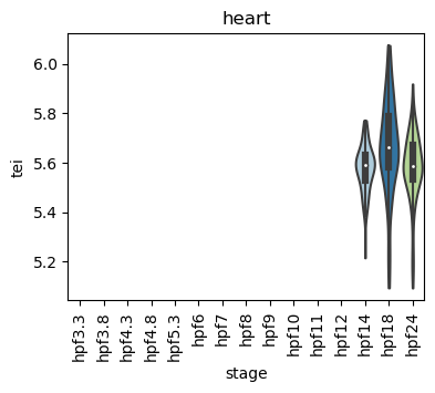 ../_images/notebooks_zebrafish_example_55_1.png