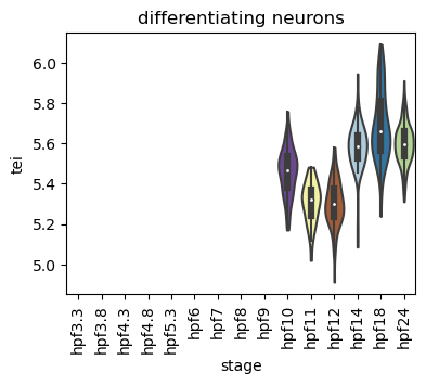../_images/notebooks_zebrafish_example_55_11.png