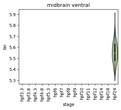 ../_images/notebooks_zebrafish_example_55_12.png