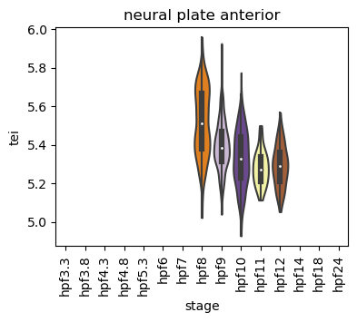 ../_images/notebooks_zebrafish_example_55_13.png