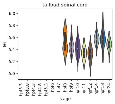 ../_images/notebooks_zebrafish_example_55_17.png