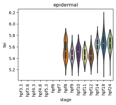 ../_images/notebooks_zebrafish_example_55_2.png