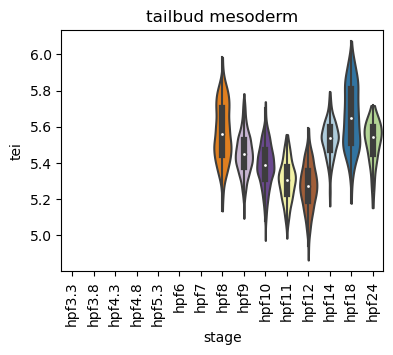 ../_images/notebooks_zebrafish_example_55_20.png