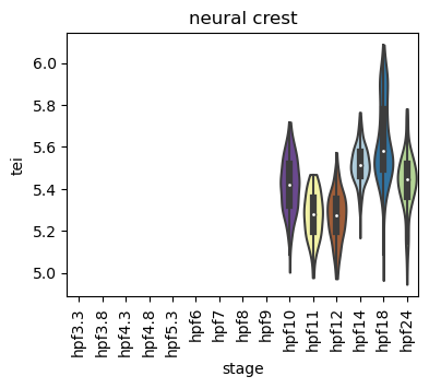 ../_images/notebooks_zebrafish_example_55_21.png