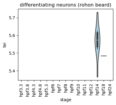 ../_images/notebooks_zebrafish_example_55_24.png