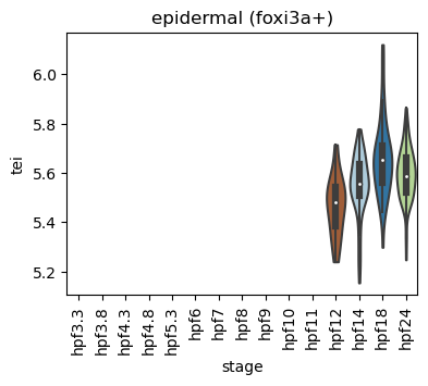 ../_images/notebooks_zebrafish_example_55_27.png