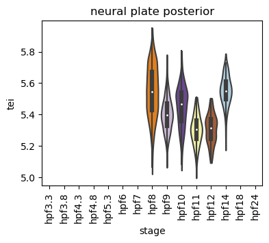 ../_images/notebooks_zebrafish_example_55_28.png