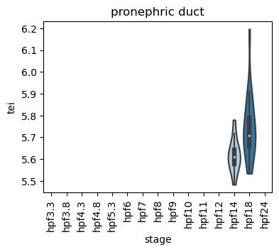 ../_images/notebooks_zebrafish_example_55_29.png