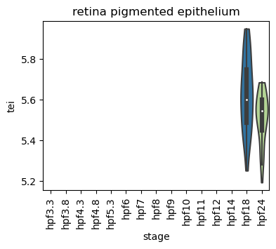 ../_images/notebooks_zebrafish_example_55_30.png
