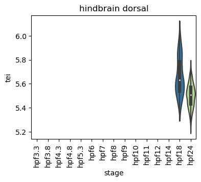 ../_images/notebooks_zebrafish_example_55_32.png