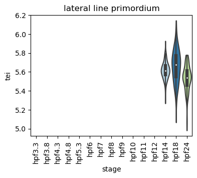 ../_images/notebooks_zebrafish_example_55_39.png