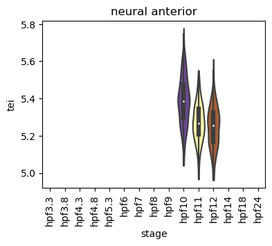 ../_images/notebooks_zebrafish_example_55_5.png