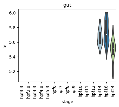 ../_images/notebooks_zebrafish_example_55_53.png
