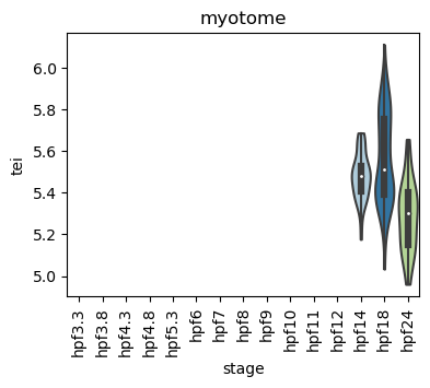 ../_images/notebooks_zebrafish_example_55_54.png