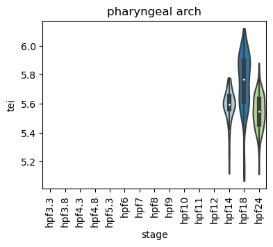 ../_images/notebooks_zebrafish_example_55_55.png