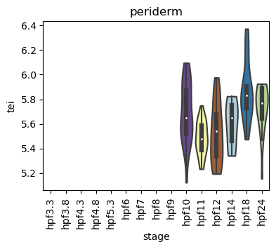 ../_images/notebooks_zebrafish_example_55_56.png