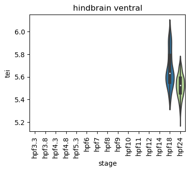 ../_images/notebooks_zebrafish_example_55_58.png