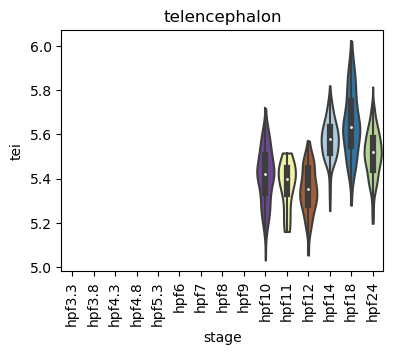 ../_images/notebooks_zebrafish_example_55_6.png