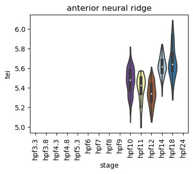 ../_images/notebooks_zebrafish_example_55_62.png