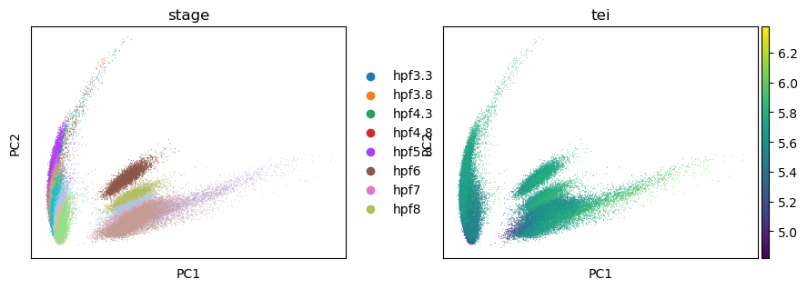 ../_images/notebooks_zebrafish_example_81_1.png