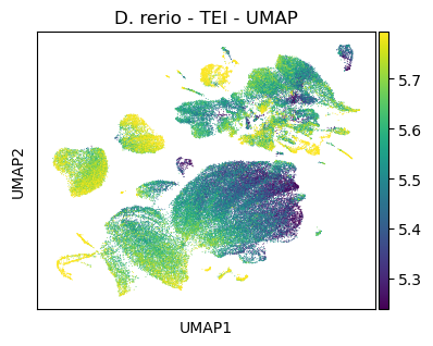 ../_images/notebooks_zebrafish_example_87_0.png